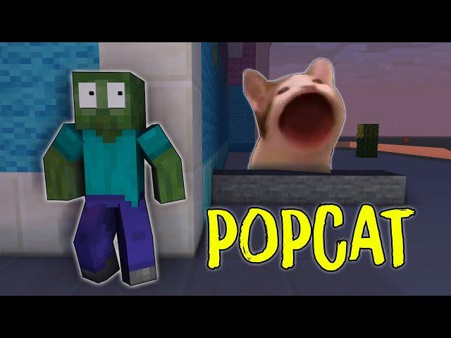 POPCAT CHALLENGE - Minecraft Animation