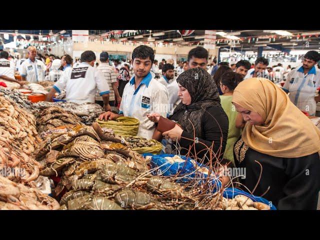 Dubai Fish Market | Biggest Seafoods Market | Dubai Waterfront | @a.hpresents3717