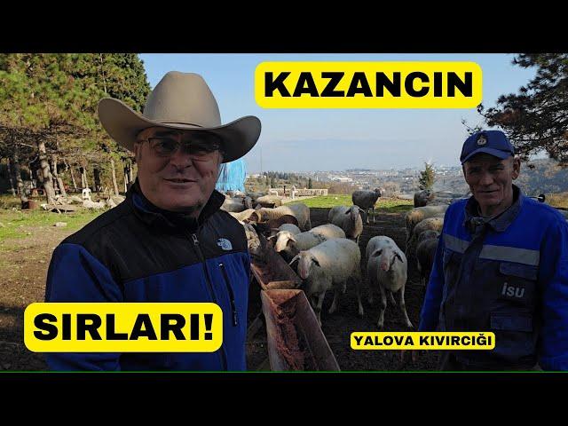 YALOVA KIVIRCIĞINDAN PARA KAZANANLARIN SIRLARI!