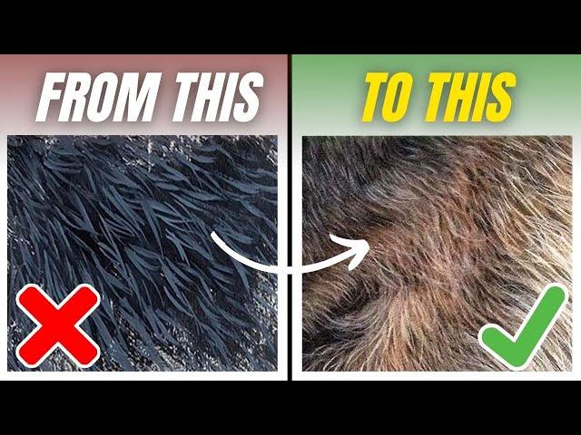 DO'S & DON'TS | How to Paint Realistic Fur