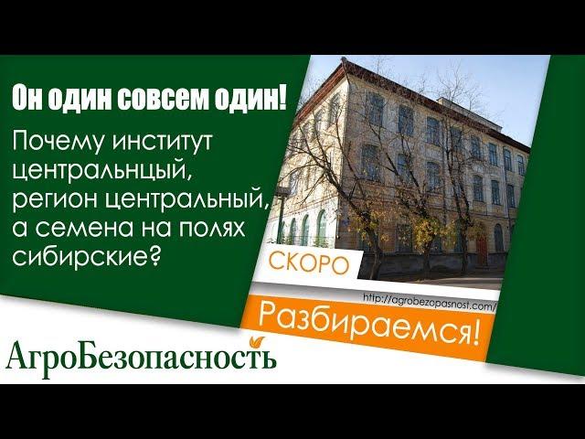 Он один совсем один!