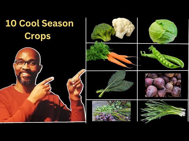 Cool Season Crops_ South African Winter Vegetable Garden