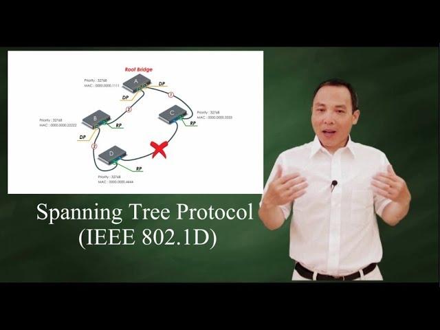Spanning Tree Protocol (IEEE 802 1D)