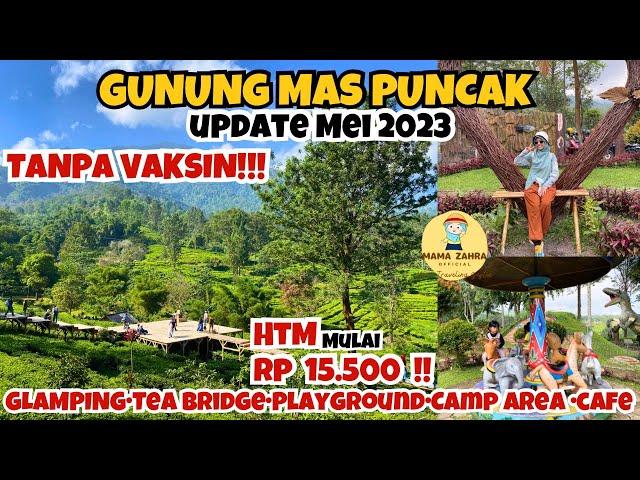 AGROWISATA GUNUNG MAS PUNCAK BOGOR |Gunung mas puncak bogor 2023 |tea bridge gunung mas puncak bogor