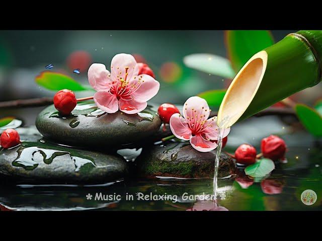 Relaxing Piano Music & Nature Sounds | Calm Music, Meditation Music, Work, Bamboo #live17