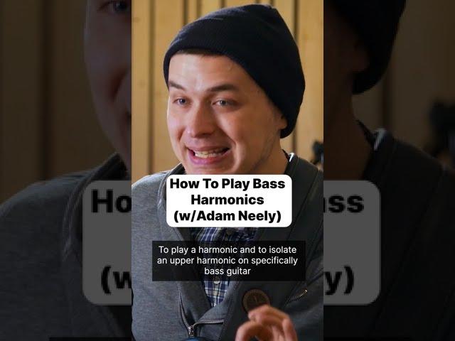 How To Play Bass Harmonics (w/Adam Neely) 