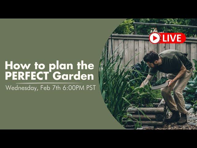 How to Plan the PERFECT Garden