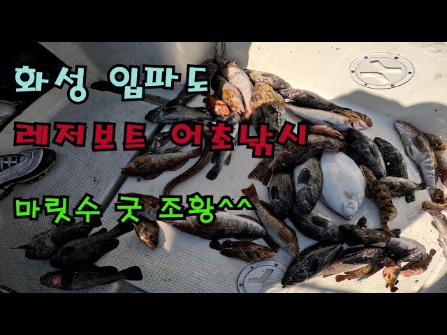 화성 입파도 어초낚시