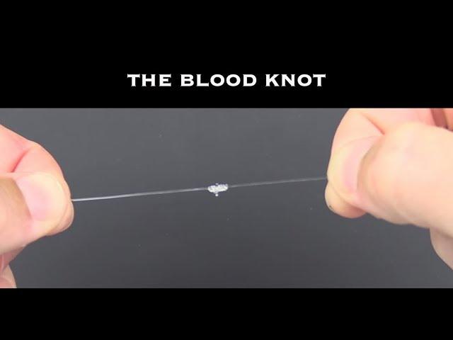 Tying The Blood Knot Tutorial