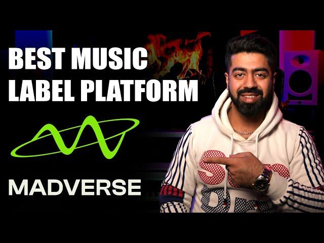 Best Music Label Platform | Music Distribution & Artist Management