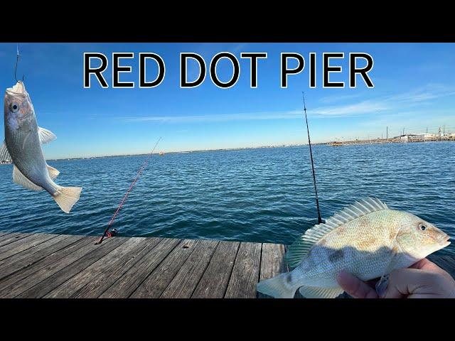 Saltwater Fishing In Corpus Christi