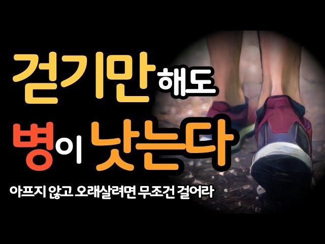 걷기만해도 병이 낫는다 / 아프지 않고 오래살려면 무조건 걸어라