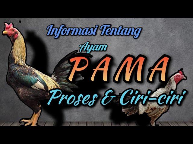 Pama's chicken (process & characteristics)