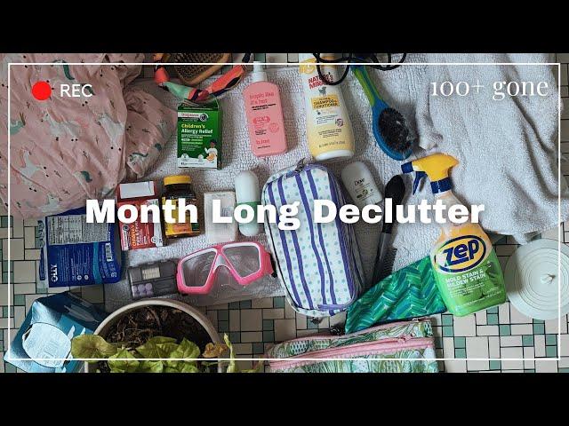 Decluttering 100+ things in a Month | Minimalist Game