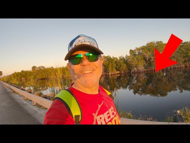 Everglades Catching Saltwater Fish In Roadside Canals (Fishing Brackish Water)