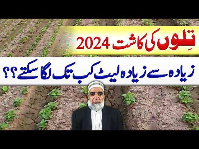 Which is the best time to cultivate Sesame || Crop Reformer