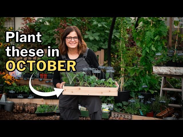 OCTOBER PLANTING GUIDE: Top Veggies, Flowers, and Herbs for Your Fall Garden