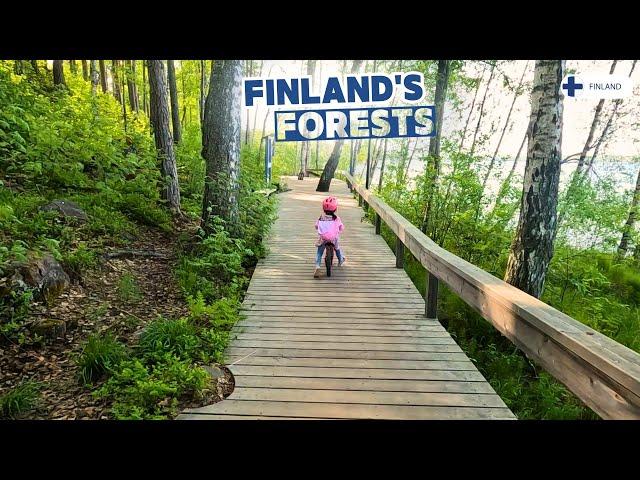 Cycling Finland forest roads