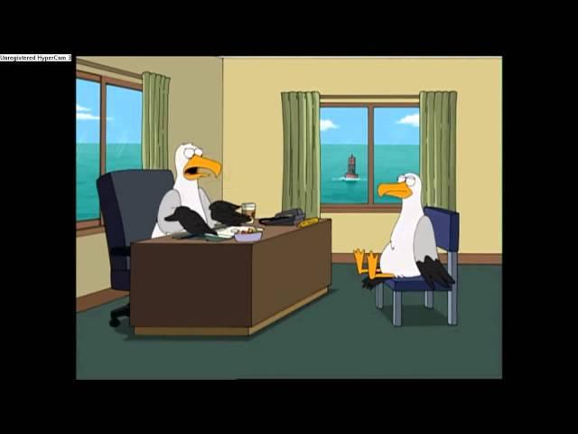 Family Guy Seagulls