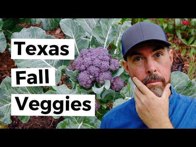 FALL VEGETABLES TO GROW IN CENTRAL TEXAS