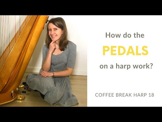 How do the pedals on a harp work? - Coffee Break Harp 18