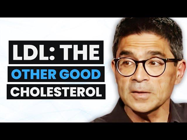 Cardiologist REVEALS Why LDL Cholesterol Is Actually Good for You (It DOESN’T Cause Heart Disease)