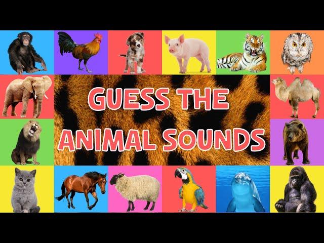 Guess The Animal Sounds For Kids | 4K