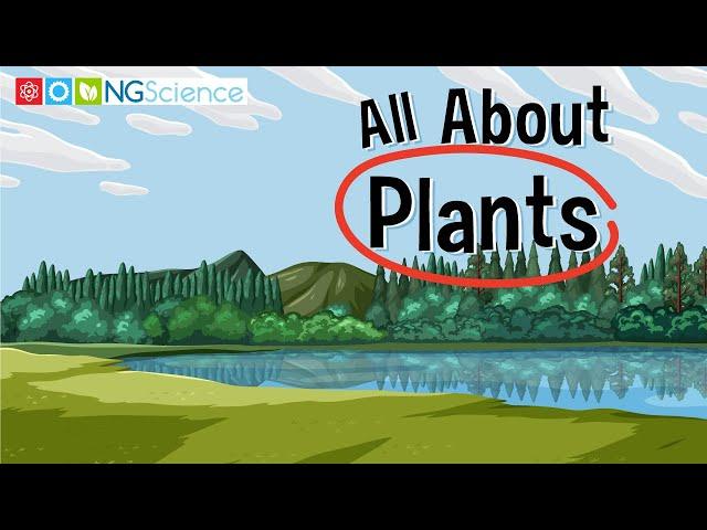 All About Plants