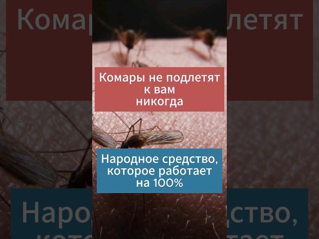 Народное средство от комаров, которое работает на 100%! #сад #дача #огород #комары