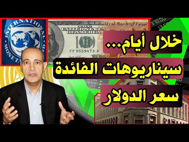 خلال أيام | سيناريوهات قرار الفائدة و سعر الدولار