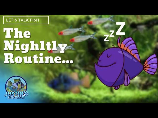 The Night Routine in The Fish Room *** How to setup a BBS hatchery ***