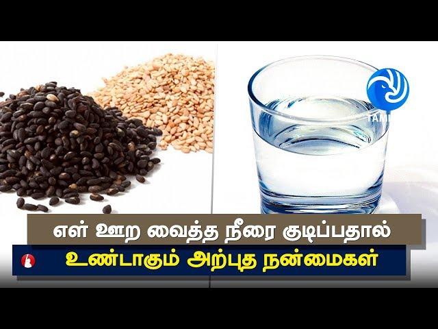 Amazing Health Benefits of Sesame Seeds - Tamil TV