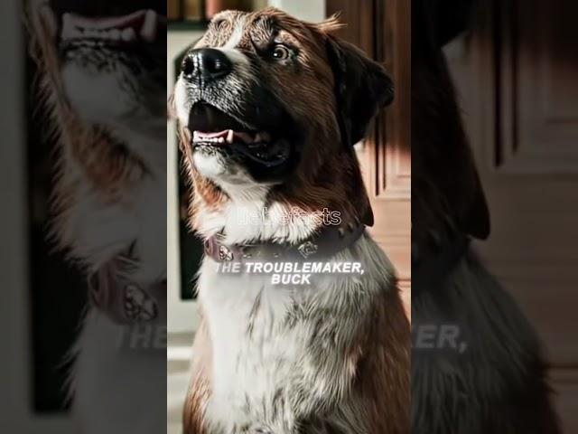 THE CALL OF THE WILD #shorts #viralvideo