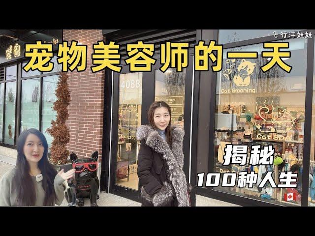 揭秘宠物美容师Boss的一天️【100种人生】