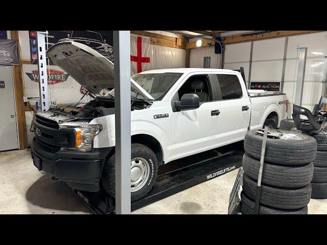 Can Liqui Moly Save my $10000 ford F150 Engine or is it too Late?