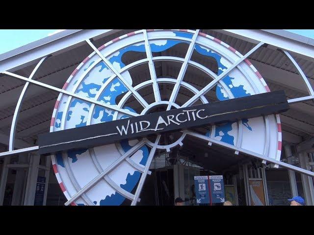 wild arctic full ride