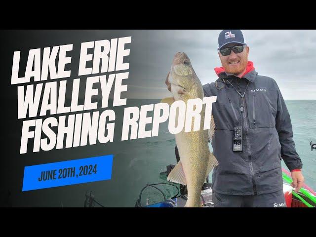 Lake Erie Walleye Fishing Report For Early Summer 2024
