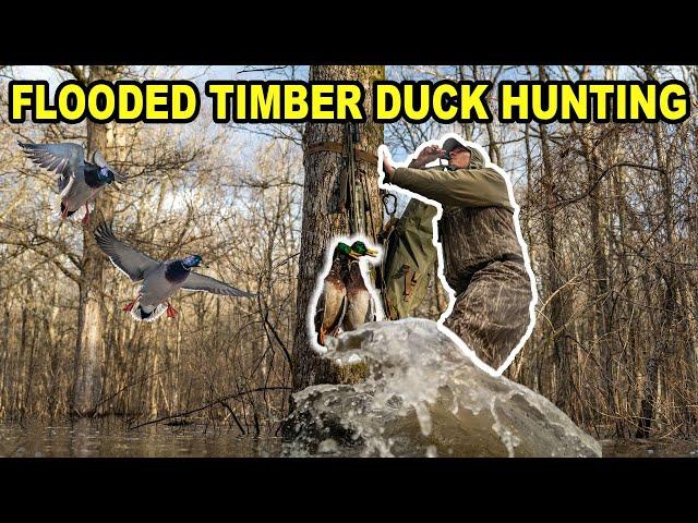 Arkansas Flooded Green Timber Duck Hunting!! (NEW PRODUCT REVEAL)