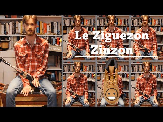 La Bottine Souriante - Le Ziguezon Zinzon (Live Cover)