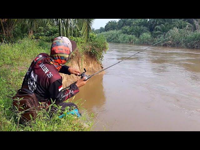 MANCING HAMPALA (hampili) DENGAN TEHNIK CASTING || CASTING DI AIR KERUH