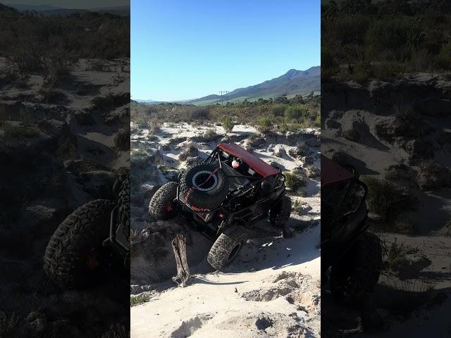 V8 TJ wrangler playing in the sand#shorts #4x4jeep #jeepadventures #offroad