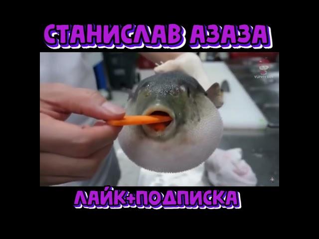 САМЫЙ ХУДШИЙ НОЖ STANDOFF 2 / СТАНДОФФ 2 #so2  #стандофф2  #standoff2 #standoff