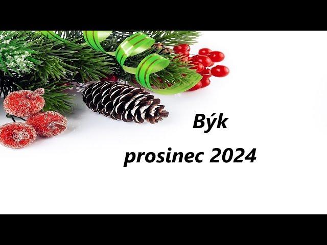 Býk prosinec 2024