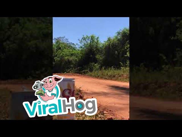 Beer Perfectly Placed on Rally Road || ViralHog