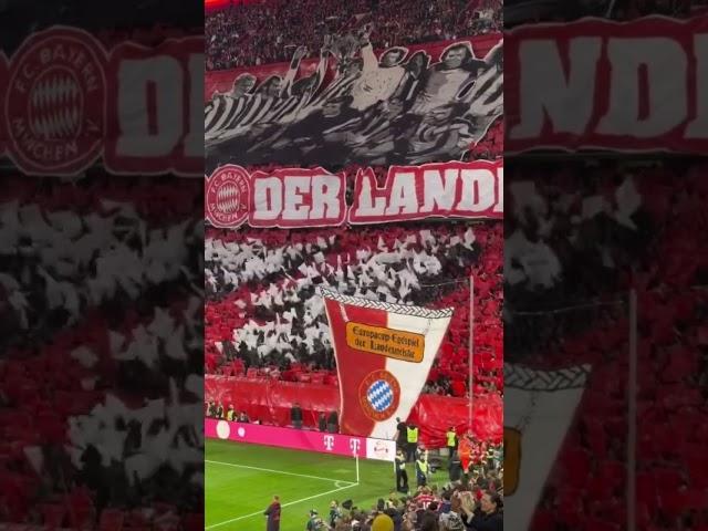 Schöne Choreo. #FCBayern #FCBVfB #ultras #football