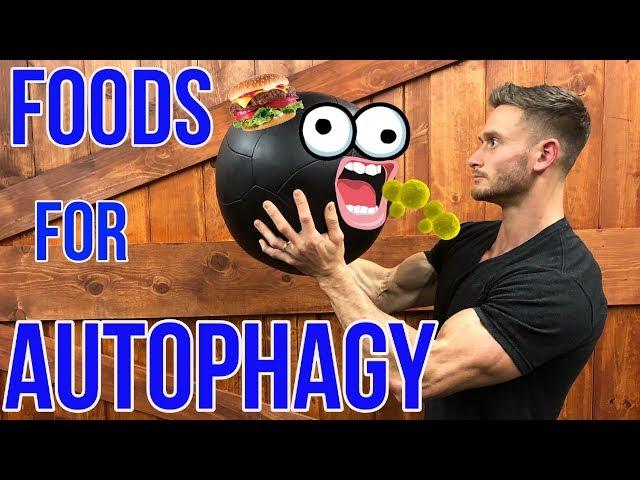 How to Boost Autophagy without Fasting | What is Autophagy | Foods for Autophagy - Thomas DeLauer