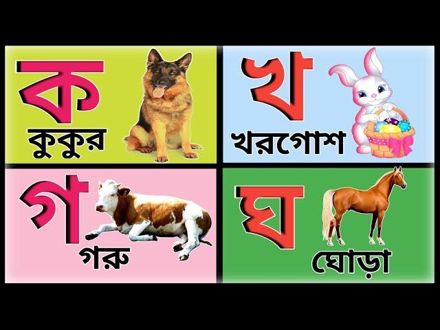 বাংলা স্বরবর্ণ ও ব্যঞ্জনবর্ণ | বাংলা বর্ণমালা শিক্ষা | অ আ ক খ | Bangla Bornomala Banjonborno