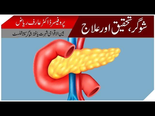 Diabetes Ka Eelaj | Sugar Tehqeeq Aur Eelaj | Dr Arif Riyaz