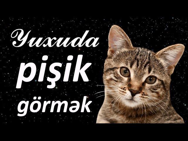 Yuxuda pişik görmək  Qısa Yuxuyozma