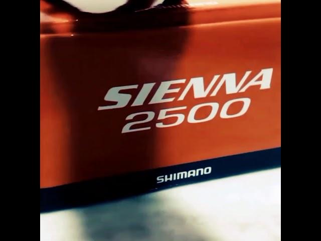 Shimano Sienna FE 2500 And Storm Discovery Unboxing